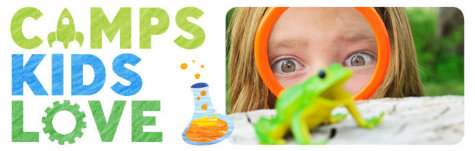 Knowledge Beginnings Camps